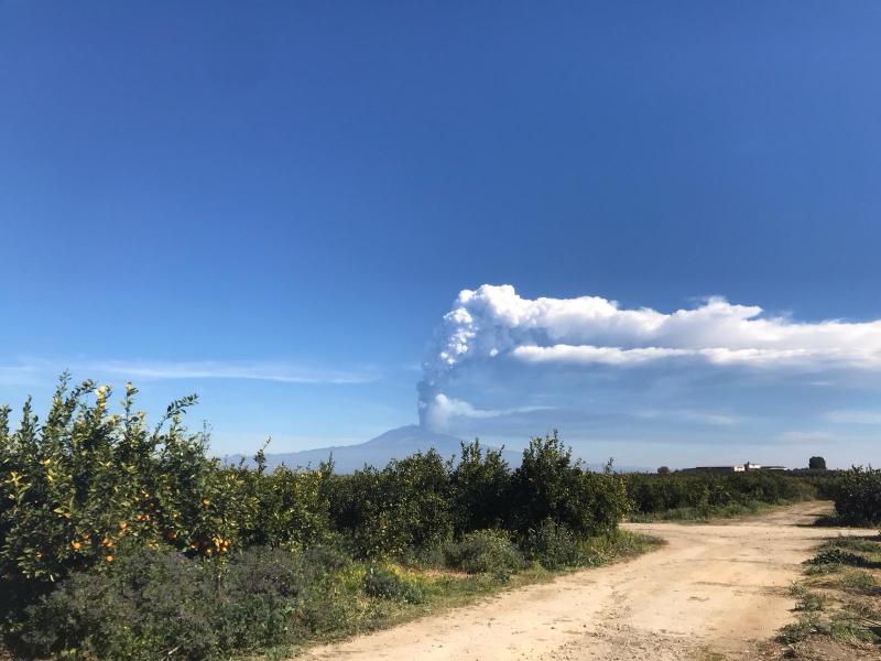 pronti , partenza... via!