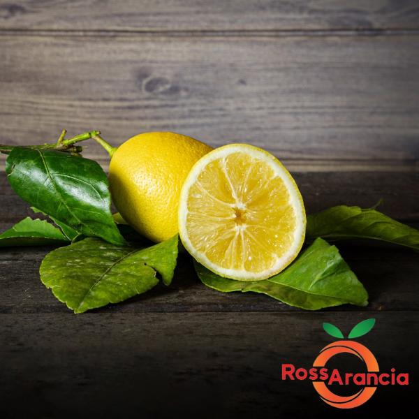 Limoni di Sicilia 