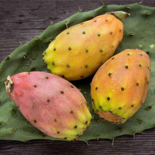 FICHI_D'INDIA_(_8_Kg_)